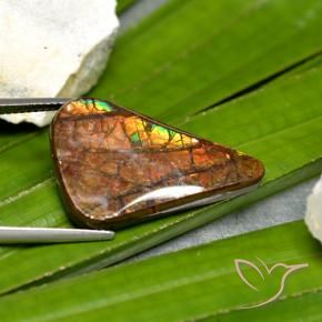 Ammolite Multicolore naturale da 15.23 ct, Taglio a fantasia, Opaco