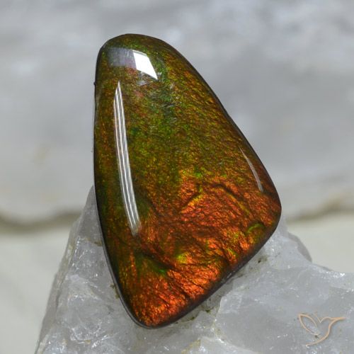 8.89ct Naturale Multicolore Ammolite, Taglio a fantasia, Opaco