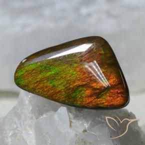 Ammolite Multicolore naturale da 8.89 ct, Taglio a fantasia, Opaco