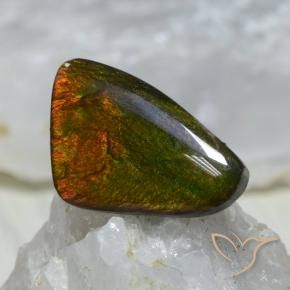 Ammolite Multicolore naturale da 8.89 ct, Taglio a fantasia, Opaco