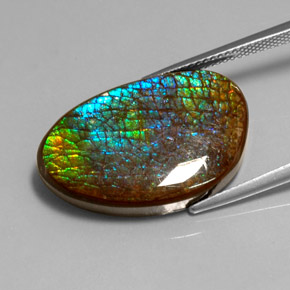 Ammolite Multicolore naturale da 16.45 ct, Forma fantasia, Opaco