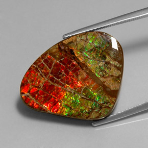 Ammolite naturale multicolore da 17,71 ct, forma fantasia, opaco