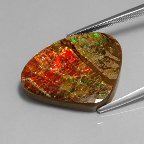 Ammolite naturale multicolore da 17,71 ct, forma fantasia, opaco