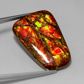 Ammolite naturale multicolore da 18,54 ct, forma fantasia, opaco