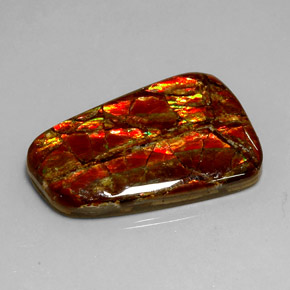Ammolite naturale multicolore da 18,54 ct, forma fantasia, opaco