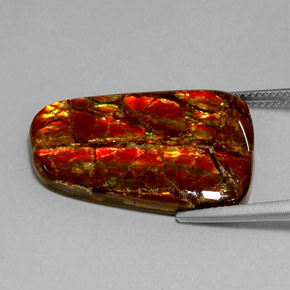 Ammolite naturale multicolore da 18,54 ct, forma fantasia, opaco