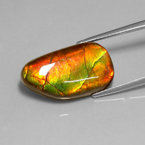 Ammolite Multicolore naturale da 10.78 ct, Forma fantasia, Opaco