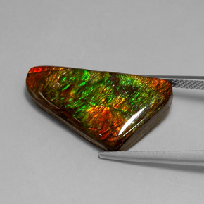 Ammolite Multicolore naturale da 12.85 ct, Forma fantasia, Opaco