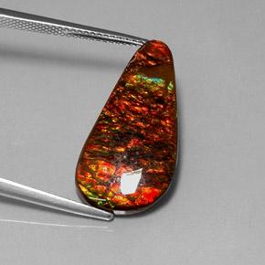 Ammolite Multicolore naturale da 9.52 ct, Forma a pera, Opaco
