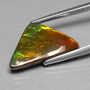 Ammolite naturale multicolore da 6,98 ct, forma fantasia, opaco