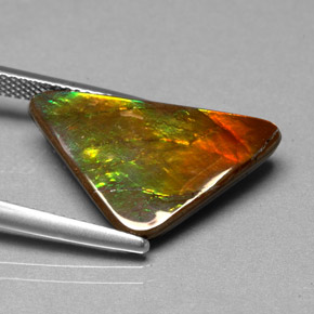 Ammolite naturale multicolore da 6,98 ct, forma fantasia, opaco