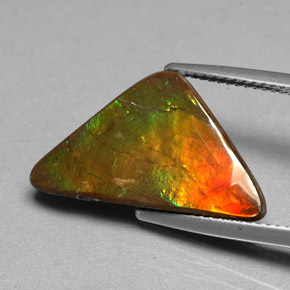 Ammolite naturale multicolore da 6,98 ct, forma fantasia, opaco