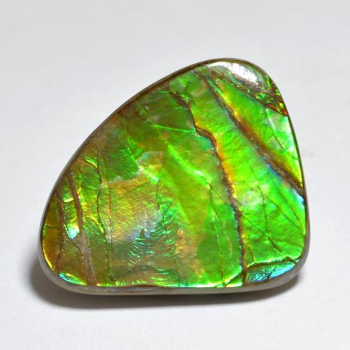 Ammolite naturale multicolore da 7,29 ct, forma fantasia, opaco