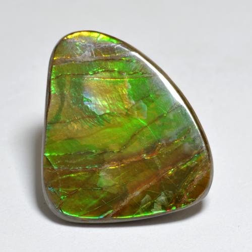 Ammolite naturale multicolore da 7,29 ct, forma fantasia, opaco