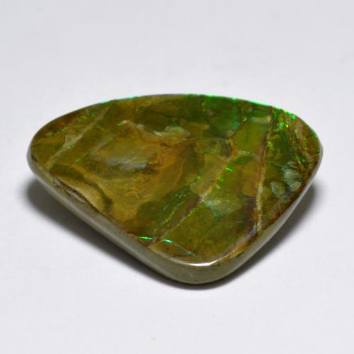 Ammolite naturale multicolore da 7,29 ct, forma fantasia, opaco