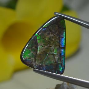 Ammolite Multicolore naturale da 8.51 ct, Forma fantasia, Opaco