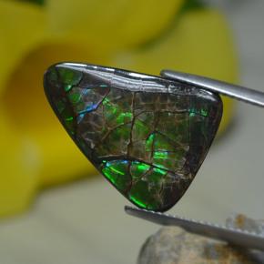 Ammolite Multicolore naturale da 8.51 ct, Forma fantasia, Opaco