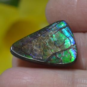 Ammolite Multicolore naturale da 8.51 ct, Forma fantasia, Opaco