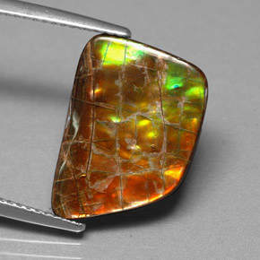 Ammolite Multicolore naturale da 6.82 ct, Forma fantasia, Opaco