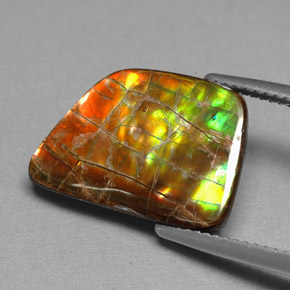 Ammolite Multicolore naturale da 6.82 ct, Forma fantasia, Opaco
