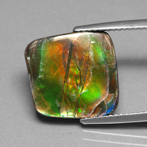 Ammolite Multicolore naturale da 6.25 ct, Forma fantasia, Opaco
