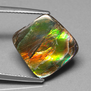Ammolite Multicolore naturale da 6.25 ct, Forma fantasia, Opaco