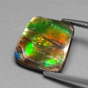 Ammolite Multicolore naturale da 6.25 ct, Forma fantasia, Opaco