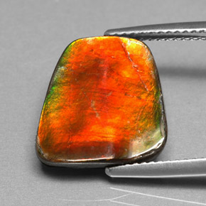 Ammolite naturale multicolore da 5,17 ct, forma fantasia, opaco