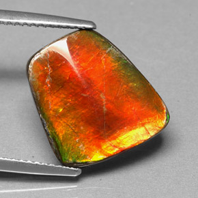 Ammolite naturale multicolore da 5,17 ct, forma fantasia, opaco