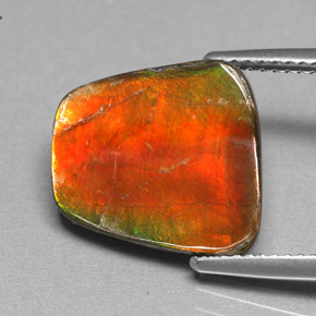 Ammolite naturale multicolore da 5,17 ct, forma fantasia, opaco