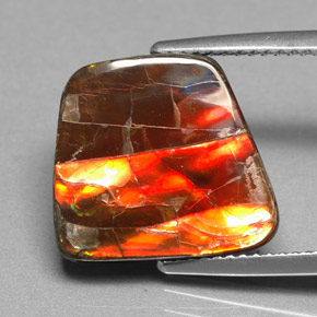 Ammolite naturale multicolore da 6,70 ct, forma fantasia, opaco