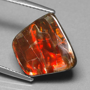 Ammolite naturale multicolore da 6,70 ct, forma fantasia, opaco