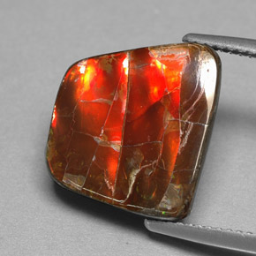 Ammolite naturale multicolore da 6,70 ct, forma fantasia, opaco