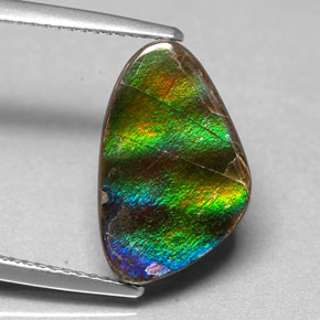 Ammolite Multicolore naturale da 4.54 ct, Forma fantasia, Opaco