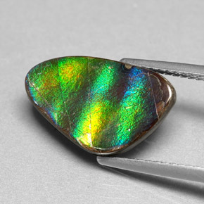 Ammolite Multicolore naturale da 4.54 ct, Forma fantasia, Opaco