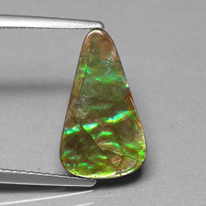 Ammolite naturale multicolore da 2,40 ct, forma fantasia, opaco