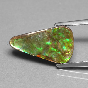 Ammolite naturale multicolore da 2,40 ct, forma fantasia, opaco