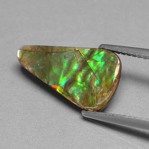 Ammolite naturale multicolore da 2,40 ct, forma fantasia, opaco
