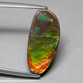 Ammolite Multicolore naturale da 6.03 ct, Forma fantasia, Opaco