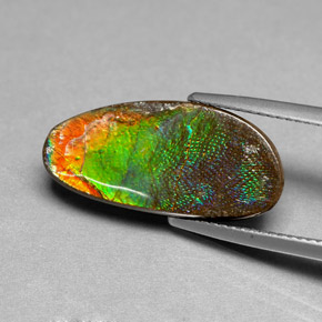 Ammolite Multicolore naturale da 6.03 ct, Forma fantasia, Opaco