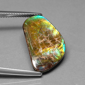 Ammolite naturale multicolore da 9,00 ct, forma fantasia, opaco