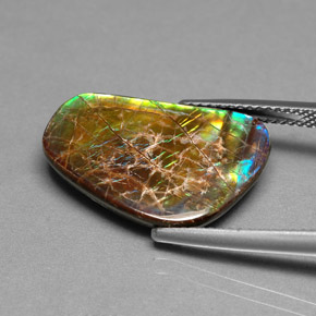 Ammolite naturale multicolore da 9,00 ct, forma fantasia, opaco