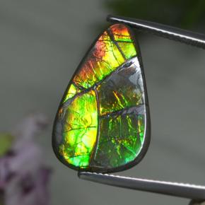 Ammolite naturale multicolore da 8,39 ct, forma fantasia, opaco