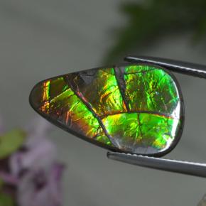 Ammolite naturale multicolore da 8,39 ct, forma fantasia, opaco