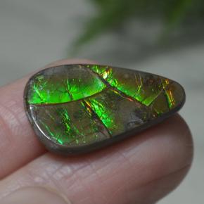 Ammolite naturale multicolore da 8,39 ct, forma fantasia, opaco