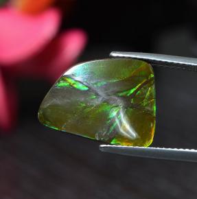 Ammolite multicolore naturale da 6,67 ct, forma fantasia, opaco