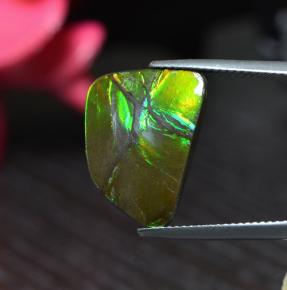 Ammolite multicolore naturale da 6,67 ct, forma fantasia, opaco