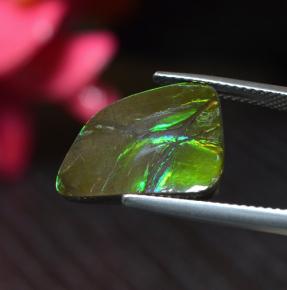 Ammolite multicolore naturale da 6,67 ct, forma fantasia, opaco