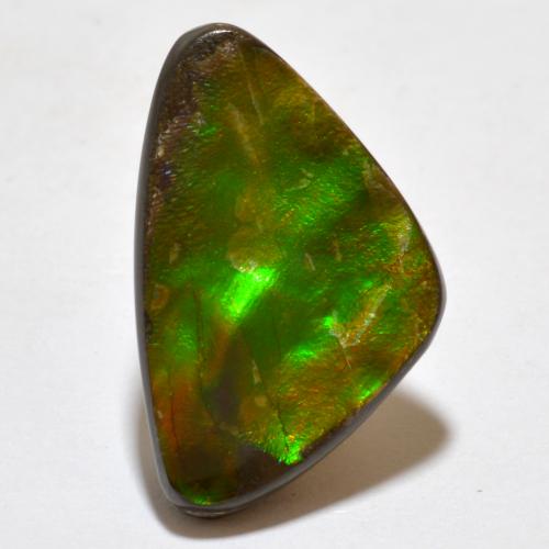 Ammolite naturale multicolore da 7,10 ct, forma fantasia, opaco