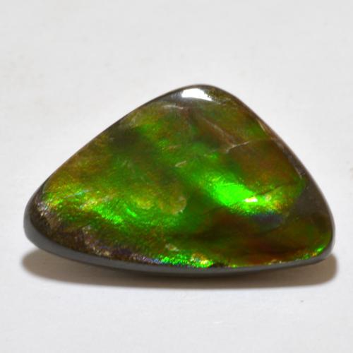 Ammolite naturale multicolore da 7,10 ct, forma fantasia, opaco
